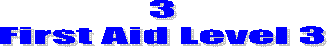 3
First Aid Level 3
