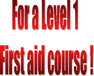 For a Level 1 
First aid course !
